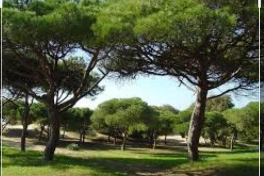 Acogedor Apartamento A 100 M. De Pinares Y Playa Daire Rota Dış mekan fotoğraf