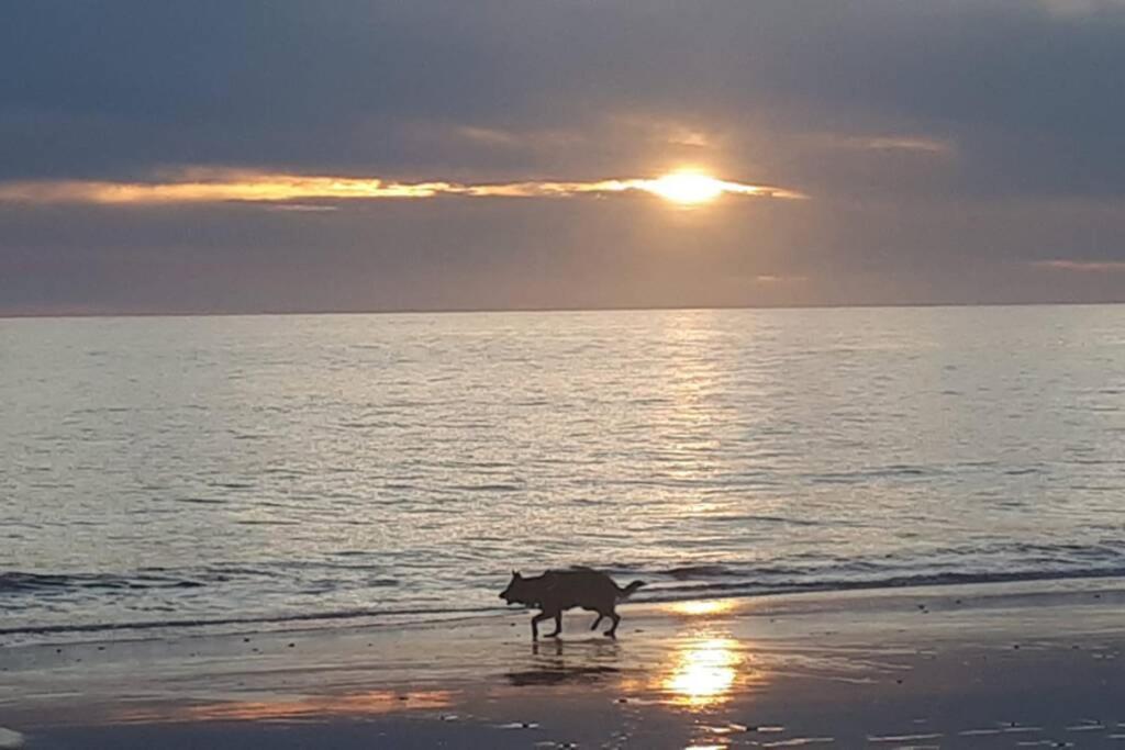Acogedor Apartamento A 100 M. De Pinares Y Playa Daire Rota Dış mekan fotoğraf