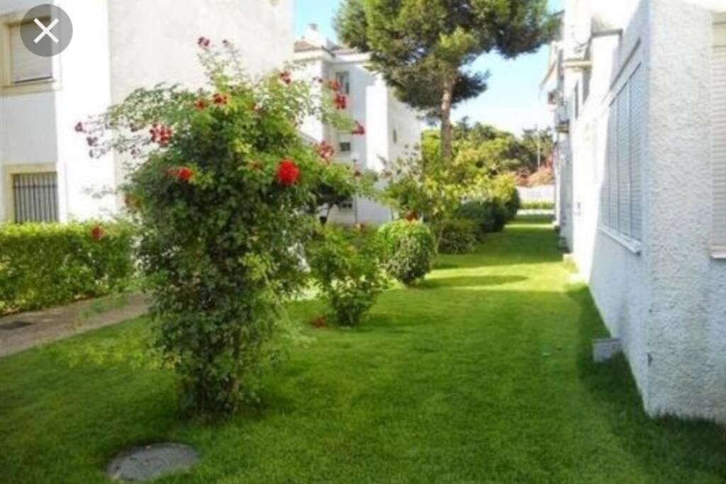 Acogedor Apartamento A 100 M. De Pinares Y Playa Daire Rota Dış mekan fotoğraf
