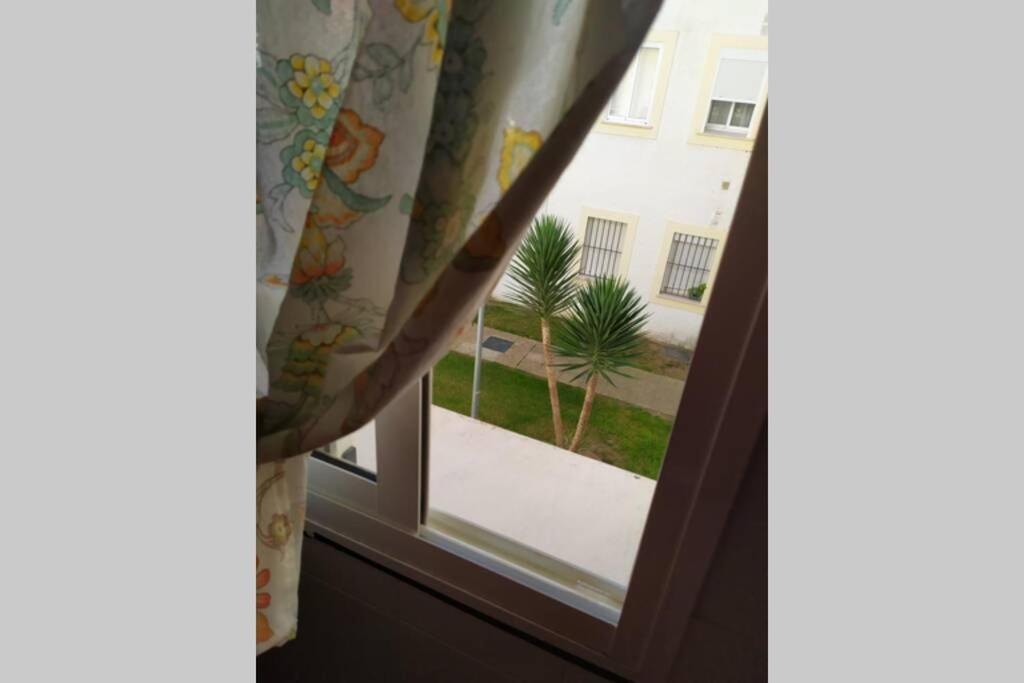 Acogedor Apartamento A 100 M. De Pinares Y Playa Daire Rota Dış mekan fotoğraf
