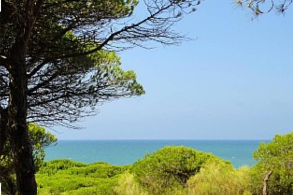 Acogedor Apartamento A 100 M. De Pinares Y Playa Daire Rota Dış mekan fotoğraf