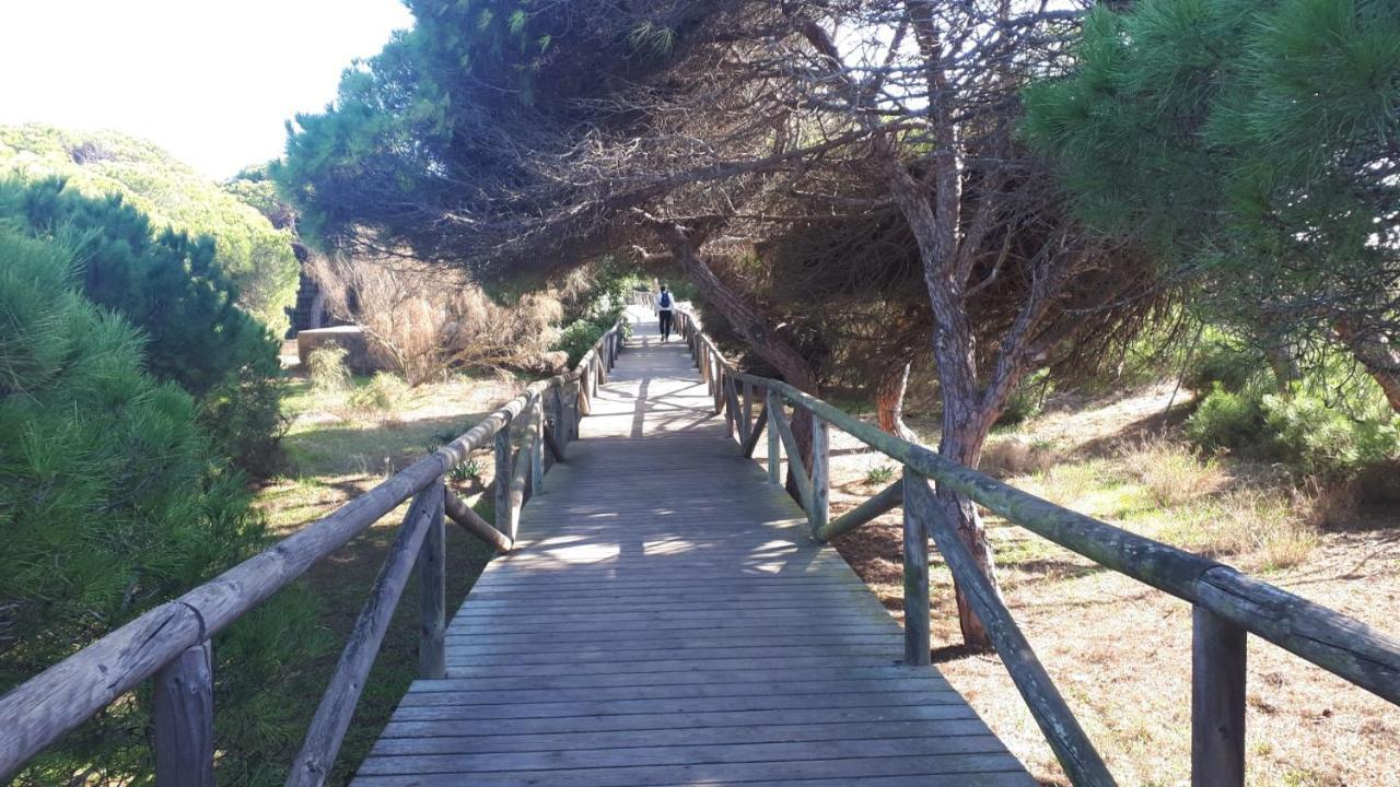 Acogedor Apartamento A 100 M. De Pinares Y Playa Daire Rota Dış mekan fotoğraf