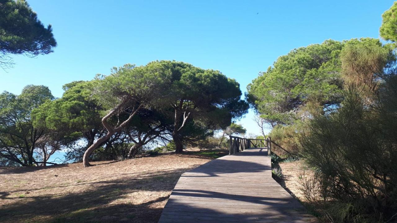 Acogedor Apartamento A 100 M. De Pinares Y Playa Daire Rota Dış mekan fotoğraf